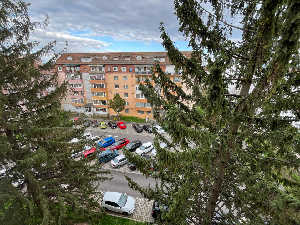 Apartament Tip Mansardă - Terezian - Strada Rusciorului (Lângă LIDL)