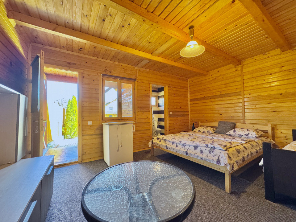 Casǎ Individualǎ/Pensiune/Turism - Ocna Sibiului - 1546 mp teren