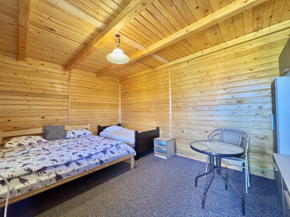 Casǎ Individualǎ/Pensiune/Turism - Ocna Sibiului - 1546 mp teren