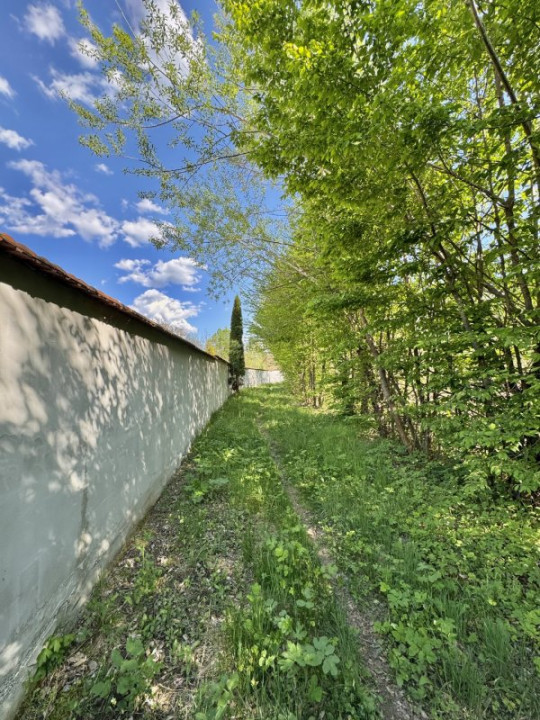 Teren de vânzare – Valea Avrigului, jud. Sibiu | 1.600 mp