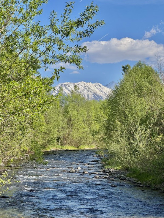 Teren de vânzare – Valea Avrigului, jud. Sibiu | 1.600 mp