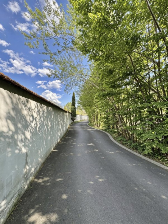 Teren de vânzare – Valea Avrigului, jud. Sibiu | 1.600 mp